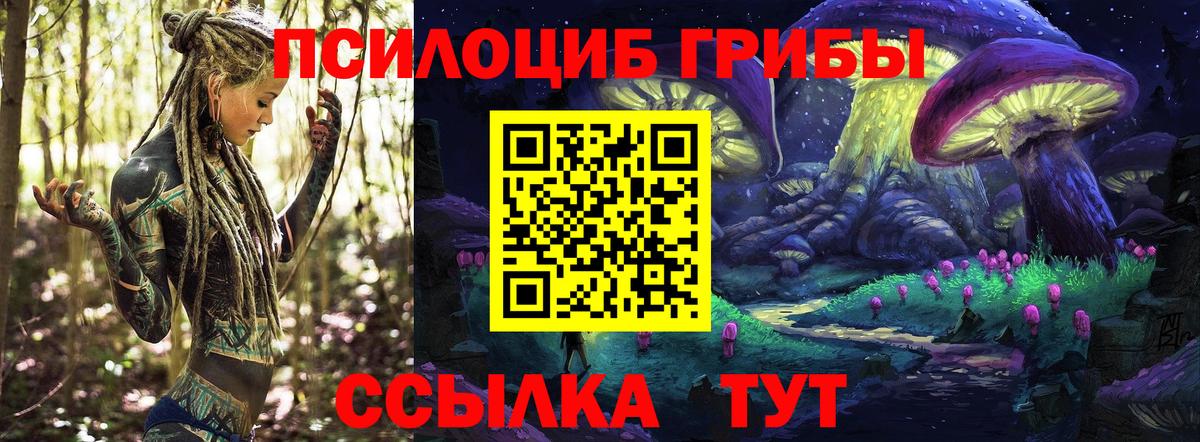 Галлюциногенные грибы Psilocybe  Псилоцибиновые грибы Psilocybe  дарнет шоп  Вход с VPN  Алапаевск 